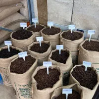 پخش عمده قهوه و پودریجات