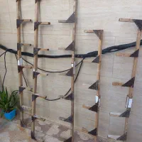 نشیمنگاه کبوتر