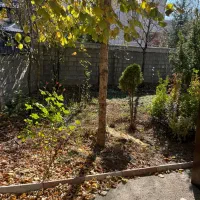 ویلا سالیانه نیمه دربست