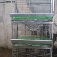 قفس مرغ تخم گذار|لوازم جانبی حیوانات|تهران, شهرک رضویه|دیوار