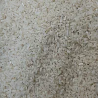 برنج نیم دانه هاشمی