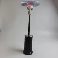 بخاری قارچی