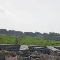 فروش-زمین-ملک