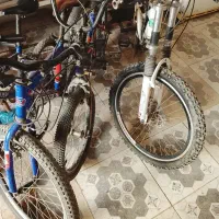 چهار عدد دوچرخه|دوچرخه، اسکیت، اسکوتر|گنبد کاووس, |دیوار