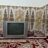 تلویزیون