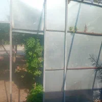 کانکس .کیوسک سوپری