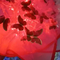 گل روبانی و پروانه ای|گل مصنوعی|دزفول, |دیوار