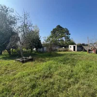 310متر‌زمین سند تک برگ دارد/پروانه ساختمانی دارد|فروش زمین و ملک کلنگی|رضوانشهر, |دیوار