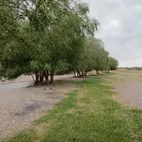 فروش و تهاتر ۴هکتار زمین باغی زراعی بومگردی و ...|فروش دفتر صنعتی، کشاورزی، تجاری|نوبران, |دیوار