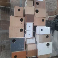 تعدادی لونه طوطی سانان و آبخوری و دونخوری|لوازم جانبی حیوانات|یزد, |دیوار