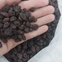 فروش کشمش ، مویز ، شیره انگور|خوردنی و آشامیدنی|اندیشه, اندیشه فاز ۱|دیوار