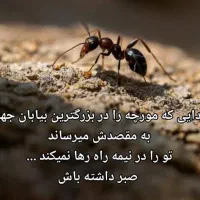 سلام 100میلیون دارم باهاش چیکارکنم