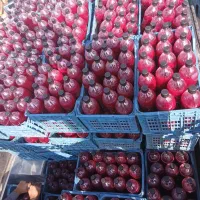 اب انار کوهستان