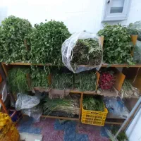 لوازم میوه فروشی|فروشگاه و مغازه|شیراز, کوشک میدان|دیوار