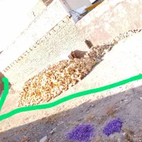 آجر فروشی با قیمت مناسب دو ماشین|مصالح و تجهیزات ساختمان|تربت‌حیدریه, کلاته توکلی|دیوار