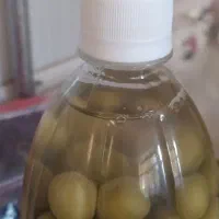 گوجه سبز|خوردنی و آشامیدنی|شاهین دژ, |دیوار