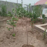 فروش خانه ویلایی در روستای عبدل آباد پایین|فروش خانه و ویلا|قم, قلعه کامکار|دیوار