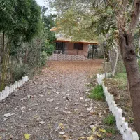 ویلا-یی-جنگلی-که-بهشت-هم-جلوش-زانو-میزنه