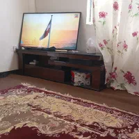 زیر تلویزیونی
