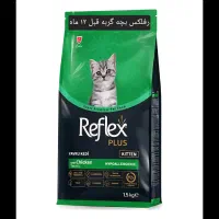 رنگین کمان|پرنده|تهران, بازار|دیوار