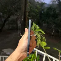 ایفون 13 pro max|موبایل|رفسنجان, |دیوار