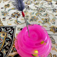 اسباب بازی گربه|لوازم جانبی حیوانات|ری, علایین|دیوار