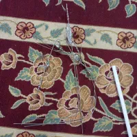 گل نقره