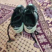 کفش استوک دار|کیف، کفش، کمربند|تایباد, |دیوار