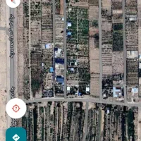 زمین پسته شهربابک