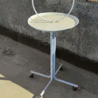 استن نشیمن طوطی وکاسکو