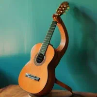 آموزش خصوصی گیتار به صورت آنلاین