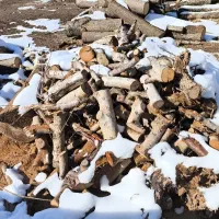 هیزم برای اتیش