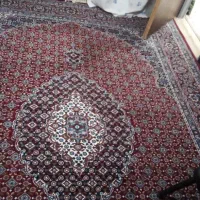 فروش آپارتمان شهرک گلستان|فروش آپارتمان|بجنورد, |دیوار