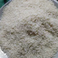 فروش برنج طارم هاشمی