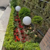 باغبانی ودرختکاری