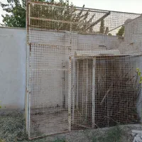 گنجه حیوانات