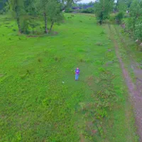 فروش زمین ۲۳۰۰۰متری|فروش زمین و ملک کلنگی|رشت, آزادگان|دیوار