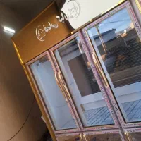 یخچال و سردخانه|فروشگاه و مغازه|خرمآباد, |دیوار