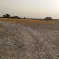 اجاره دادن زمین کشاورزی خورموج|اجارهٔ دفتر صنعتی، کشاورزی، تجاری|خورموج, |دیوار