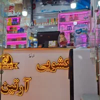 خشکشویی ارتین