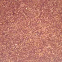 دان جارو|لوازم جانبی حیوانات|میانه, |دیوار