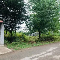 زمین مسکونی ۲۵۰ متری با پروانه ساخت /تهاتر/ معاوضه|فروش زمین و ملک کلنگی|رشت, سیا اسطلخ|دیوار