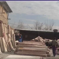 کارخانه قالیشویی حسینی (اصلی) هشتگرد و حومه