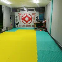 آموزش تخصصی کیوکوشین کاراته آقایان وبانوان