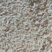 برنج درجه یک لرستان اقساطی چک معتبر|خوردنی و آشامیدنی|قم, زنبیل آباد|دیوار