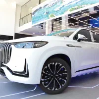 لوکانو ال8 پلاک شده // نمایندگی دلیلی