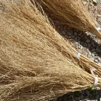 جارودستی|لوازم نظافت|ارومیه, |دیوار