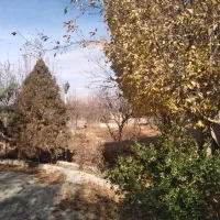 135مترسه-خواب