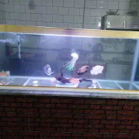 اکواریوم با لوازم و ماهی