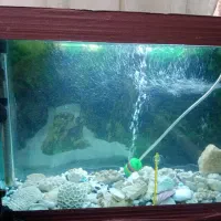 آکواریوم با تمام وسایل